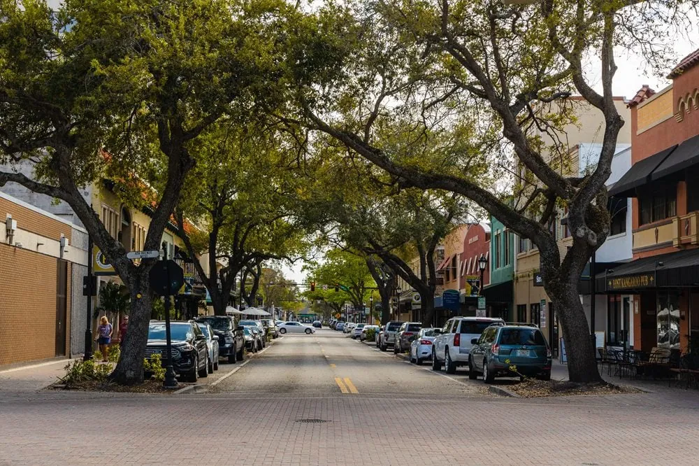 Tree-lined downtown street
